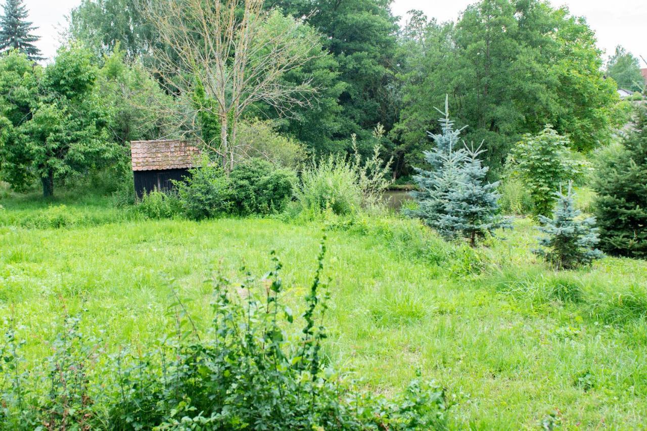 Ferienwohnung Auf Ehemaligen Bauernhof In Der Naehe Von Bamberg Walsdorf  Bagian luar foto